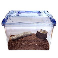 Sapilpung 獨角仙清潔初學者實惠套組, 1套