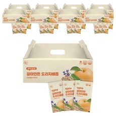 황금이네 국내산 갈아만든 도라지배즙, 100ml, 270개
