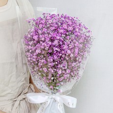 코코도르팜 생화 안개 꽃다발, 퍼플