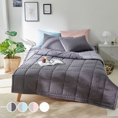 LaMonte 超細纖維四季薄被+枕頭套組