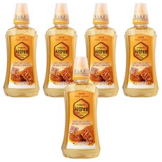 고려인삼 사양벌꿀, 750g, 5개