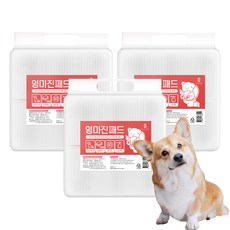 ZeroMargin 狗狗尿布墊 標準 20g, 3個, 100入