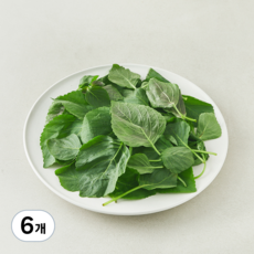 국내산 깻순, 300g, 6개