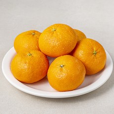 곰곰 GAP 레드향, 1.2kg, 1봉