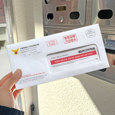 Lead home 趣味紅包袋 交通罰單款, 混色, 1套