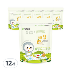 베베잇츠 동결건조 과일칩, 배, 12개, 12g