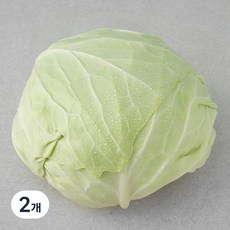 국내산 친환경 양배추, 1통, 2개
