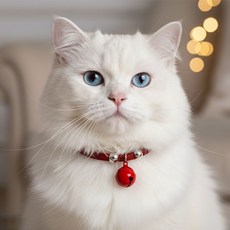 예보들 고양이 방울 목걸이, 레드, 1개