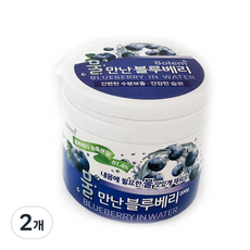 물만난 블루베리 분말, 200g, 2개