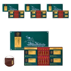 천지인 산삼배양근 혼합 세트 + 쇼핑백, 4세트
