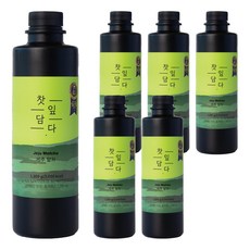 스위트컵 찻잎담다 제주 말차, 1.2kg, 6개