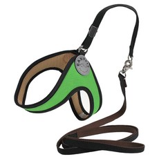 이지핏 하네스 + 리드줄 세트, 그린, 1개