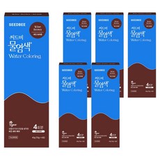 씨드비 프리미엄 물염색 시즌2 4p, 와인브라운, 6개