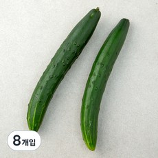 취청오이, 2개입, 4개