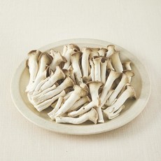 국내산 친환경 고기느타리버섯, 300g, 1개