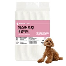 미스터추추 강아지 배변패드 플러스 무향 20g, 100개입, 1개