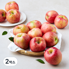 영주마실 못난이 가정용 빨간사과, 2박스, 4.5kg(중과, 13~20입)