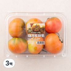 다조은 대저 토마토, 500g, 3팩