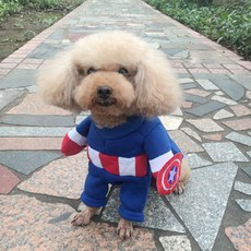 SassyDog 站立裝, 隊長, 1件