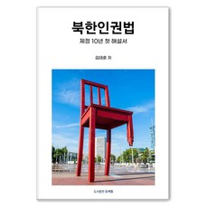 [五色筆筒]北韓人權法 ： 制定10年首本解說書, 五色筆筒, 金泰勳