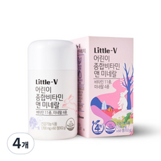 비타민하우스 리틀브이 어린이 종합비타민 앤 미네랄, 4개, 90g