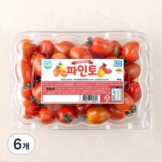 파인토 스테비아 대추방울토마토, 500g, 6개