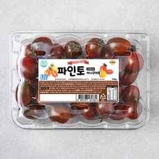 파인토 스테비아 미니쿠마토, 500g, 1팩