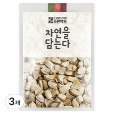 조은약초 홍화씨, 500g, 3개