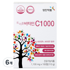 영진약품 비타민D B 복합 트리플 비타민 C1000, 100정, 6개