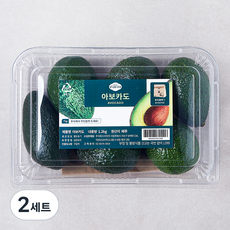 트릿지팜 페루산 아보카도 + 후숙 봉투 세트, 1.2kg, 2세트