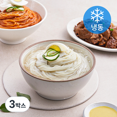 외갓집 불고기와 함께 먹는 옥천 물냉면 2인분 + 비빔냉면 2인분 세트 (냉동), 1.906kg, 3박스