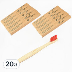 칼리오페 박스 대나무 칫솔 레드, 20개, 1개입