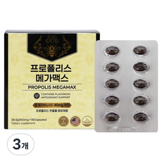 프로폴리스 메가맥스 58.5g, 3개, 90정