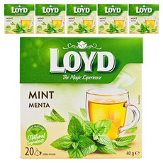 LOYD 민트 차, 6개, 20개입, 2g