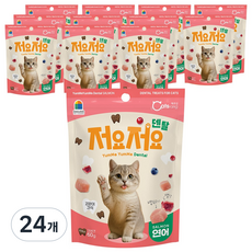 캐츠랑 고양이 저요저요 덴탈 간식, 연어, 60g, 24개