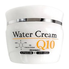 ORION COSMETICS Q10玻尿酸出水霜, 80g, 1罐