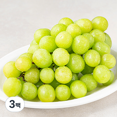 다조은 페루산 씨없는 점보 청포도, 700g, 3팩