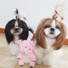 지피포우즈 강아지 장난감 행동돼장 13 x 12 x 19 cm, 혼합색상, 1개