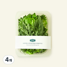 프리미엄 스마트팜 와일드루꼴라 믹스, 100g, 4개, 1개입