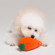 Maison de Dog 嗅聞玩具 胡蘿蔔 9 x 19 cm, 橘色, 1個