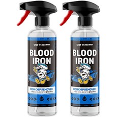 글로스브로 블러드아이언 차량용 철분 제거제, 500ml, 2개
