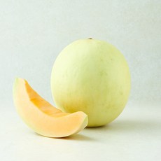 미국산 오렌지 허니듀 메론, 1개, 1.6kg