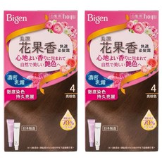 Bigen 美源 花果香快速染髮霜, 4亮棕色, 2盒