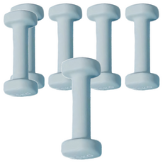 【sc優選】鑄鐵實心六角磨砂 浸塑啞鈴, 0.5kg, 6入