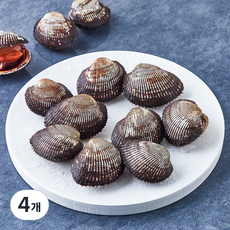 숨비해물 국내산 육즙이 가득한 피꼬막 피조개 (냉장), 4개, 1kg