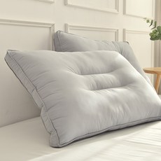 블레딕홈 퓨리케어 빨아쓰는 입체베개 2p, 블루그레이, 2개