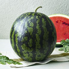 햇사레 다올찬 꿀수박, 6kg 이상, 1개