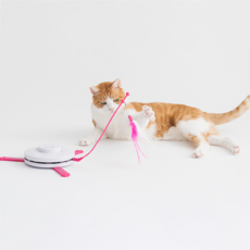 抓尾巴貓咪自動玩具, WPE1401, 混合顏色, 1個