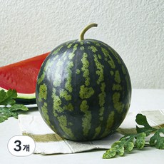 햇사레 다올찬 꿀수박, 4kg 이상, 3개