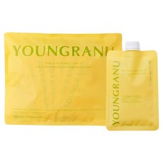 Youngranu Protein Fit 甜玉米風味蛋白奶昔 袋裝, 1個, 315g